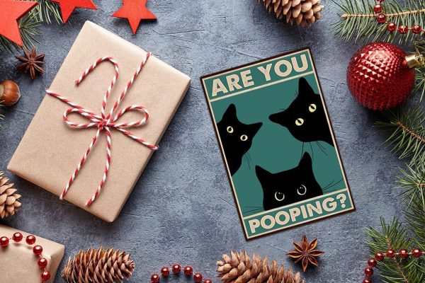 Black Cat Are You Pooping Funny Tin Signs Bathroom Wall Decor