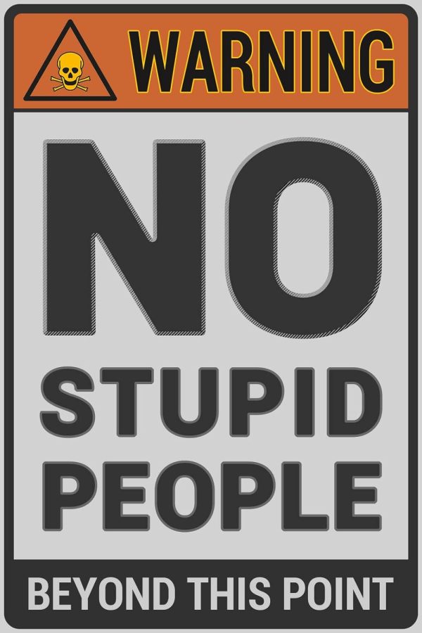 Bestylez Funny Metal Sign Room Sign Street Signs For Bedroom, Garage, Yard, Bar - Warning No Stupid People Beyond This Point